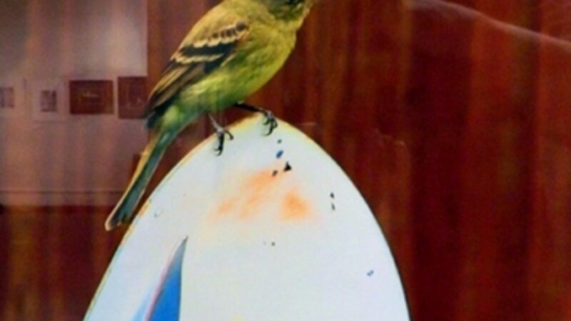 3rd Annual Exhibit Jarbridge Shovel Brigade Volunteer