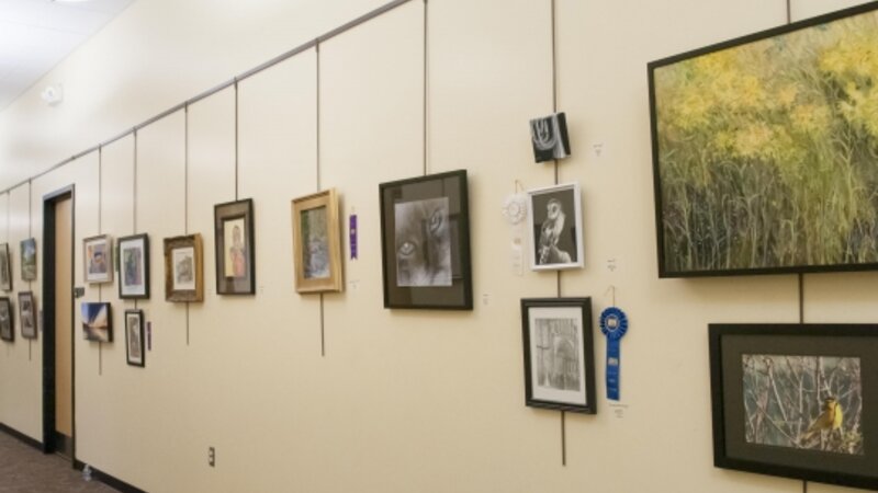 7th Annual Exhibit Artwork from the 7th Annual NAP Show on display at the Philip S. Miller Library in Front Range, CO