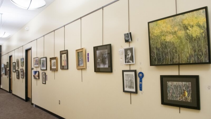 7th Annual Exhibit Artwork from the 7th Annual NAP Show on display at the Philip S. Miller Library in Front Range, CO