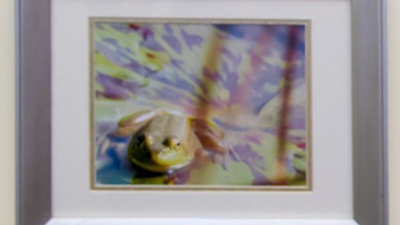 7th Annual Exhibit Camo Frog