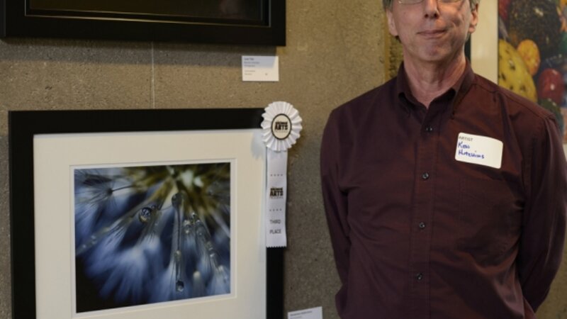 10th Annual Exhibit Dandelion Reflections