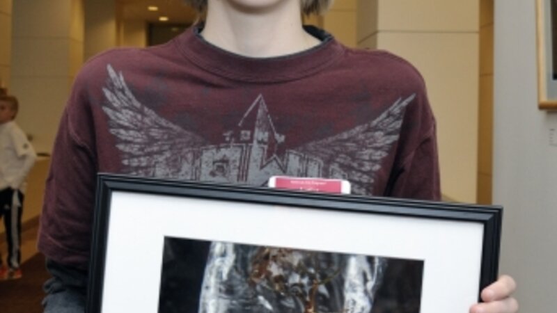 11th Annual Exhibit Mossy Icicle