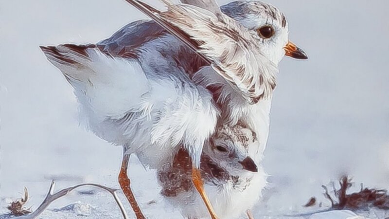 14th Annual Exhibit Mother and Child