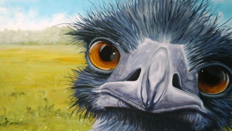 12th Annual Exhibit What Are You Looking At