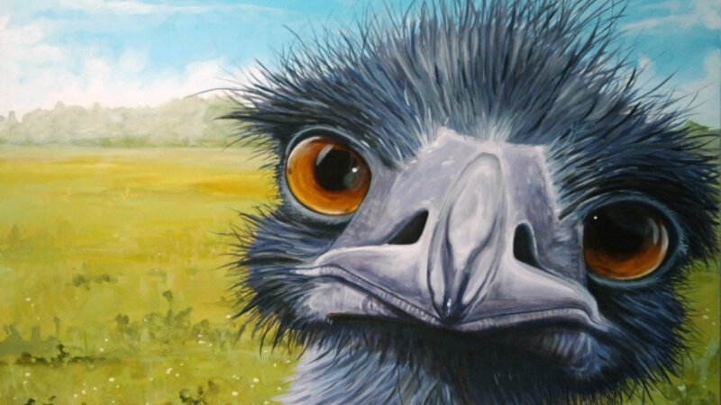 12th Annual Exhibit What Are You Looking At