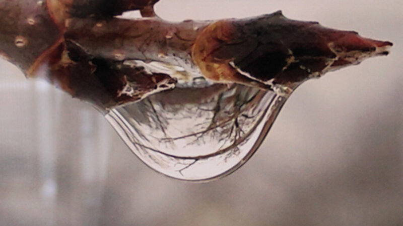 23rd Annual Exhibit Every Bit of New Understanding Nourishes My Soul