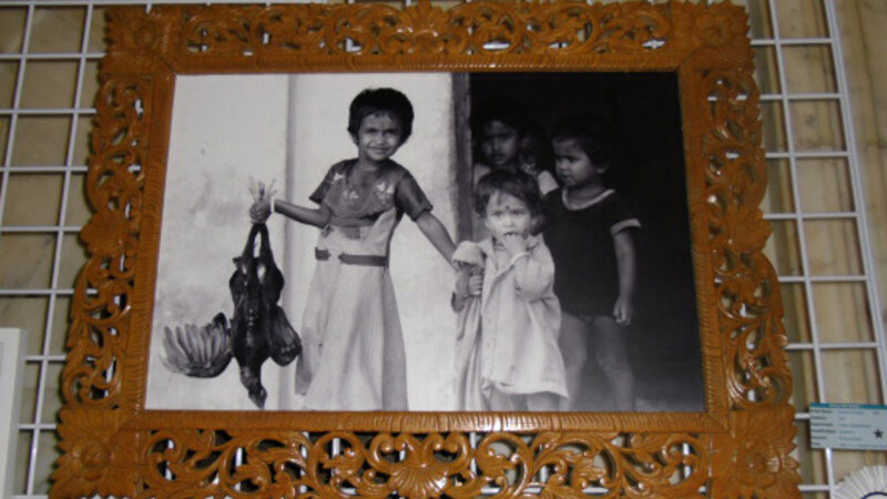 6th Annual Exhibit Bliss on a Coconut Husk Farm