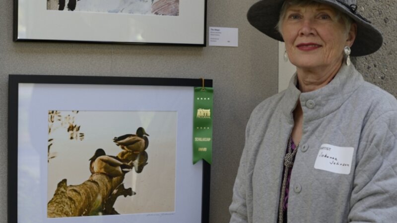 10th Annual Exhibit Ducks at Spring Lake