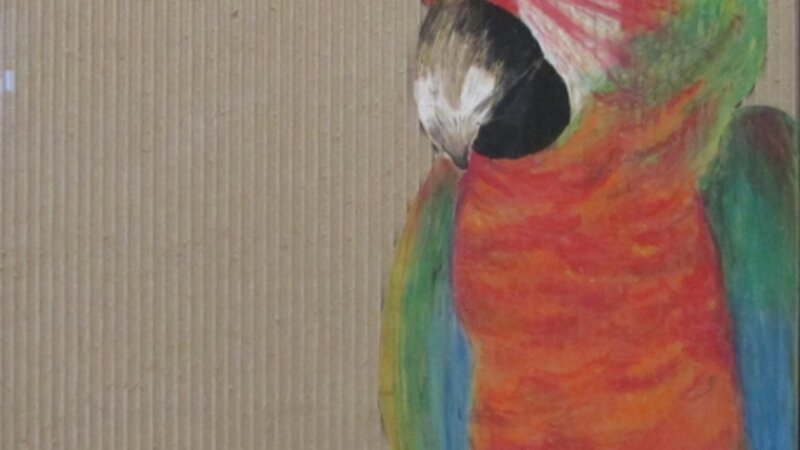 8th Annual Exhibit Kokomo the Parrot