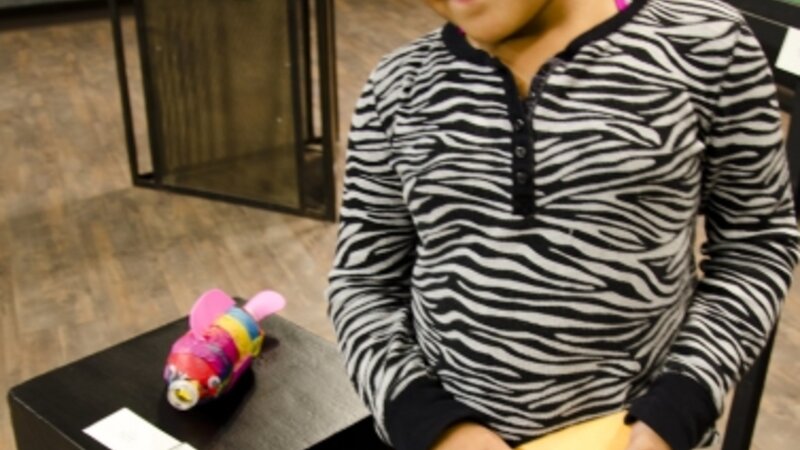 24th Annual Exhibit Fish