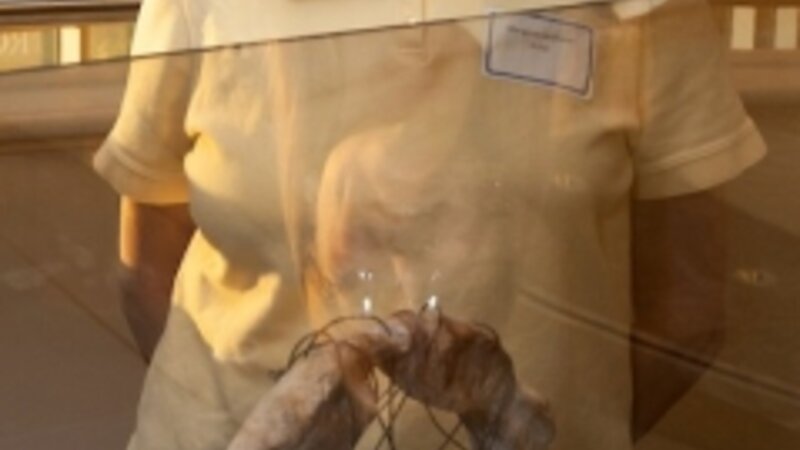 6th Annual Exhibit Life