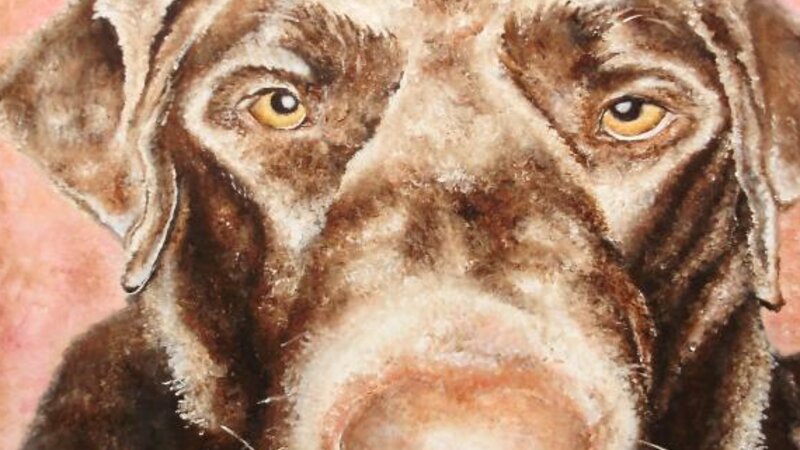 4th Annual Exhibit Bailey