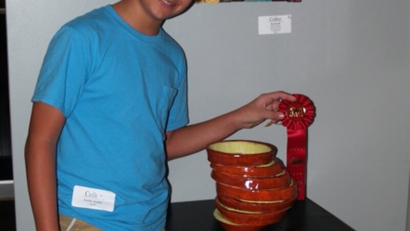 8th Annual Exhibit Sliced