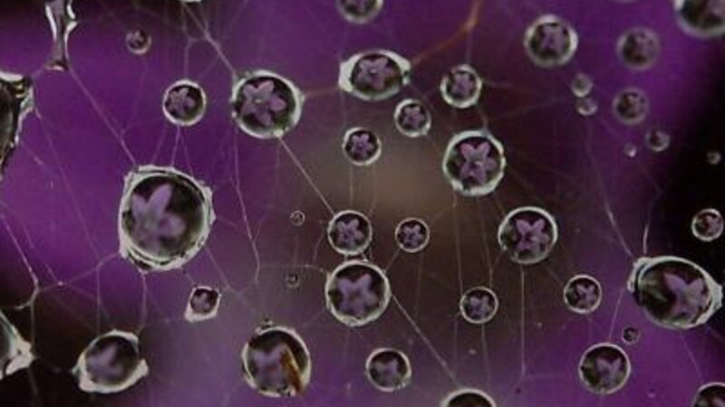 3rd Annual Exhibit Rain Drops