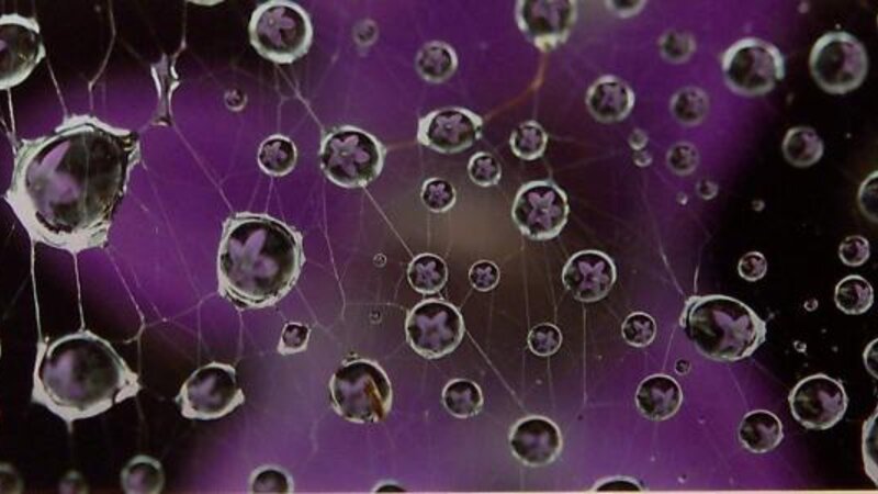 3rd Annual Exhibit Rain Drops