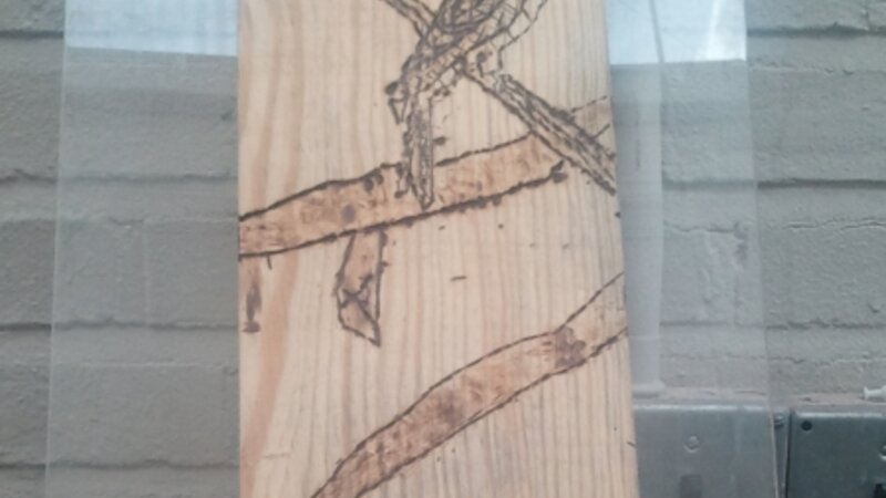 8th Annual Exhibit Night Owl