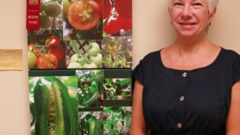8th Annual Exhibit Summer Harvest