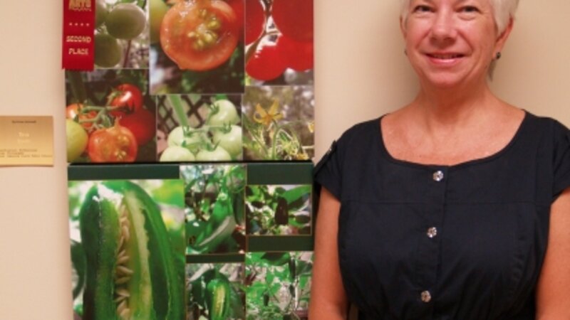 8th Annual Exhibit Summer Harvest