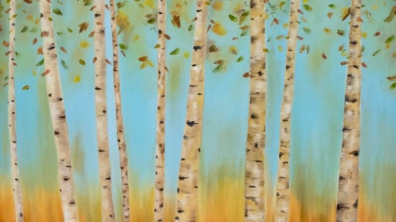 3rd Annual Exhibit Aspen Woods