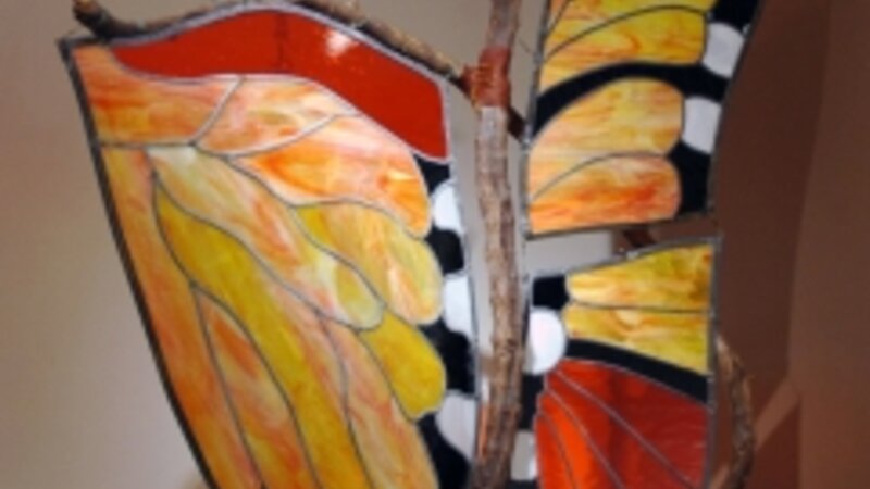 12th Annual Exhibit Grapevine Butterfly