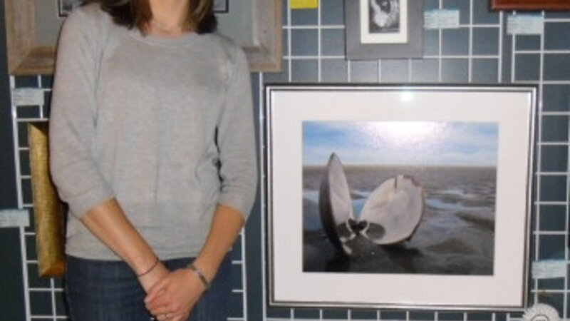 6th Annual Exhibit Beached