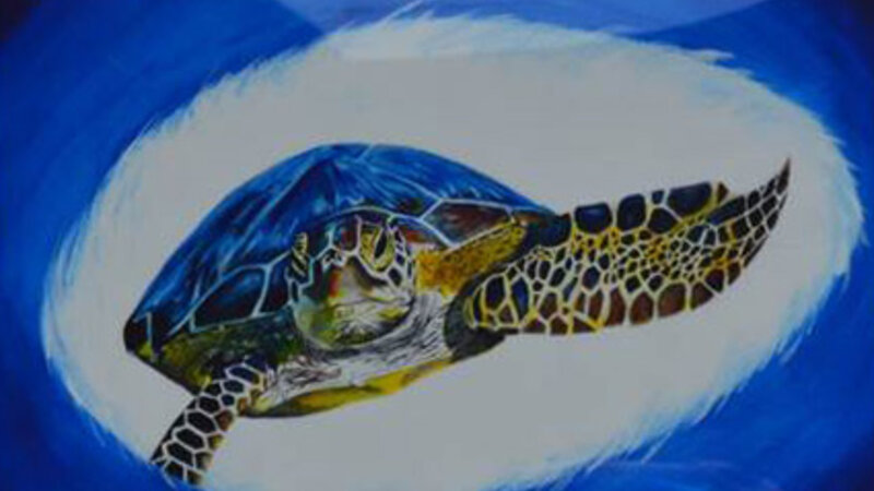 9th Annual Exhibit Sea Turtle