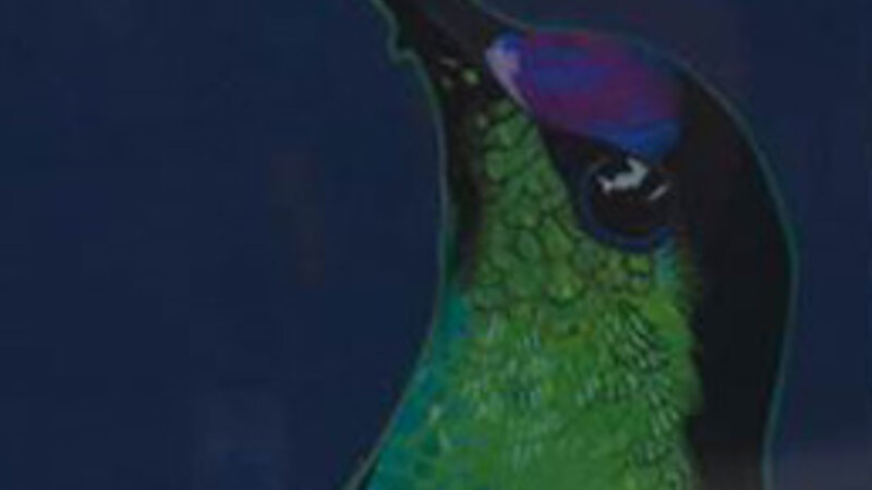 9th Annual Exhibit Hummingbird