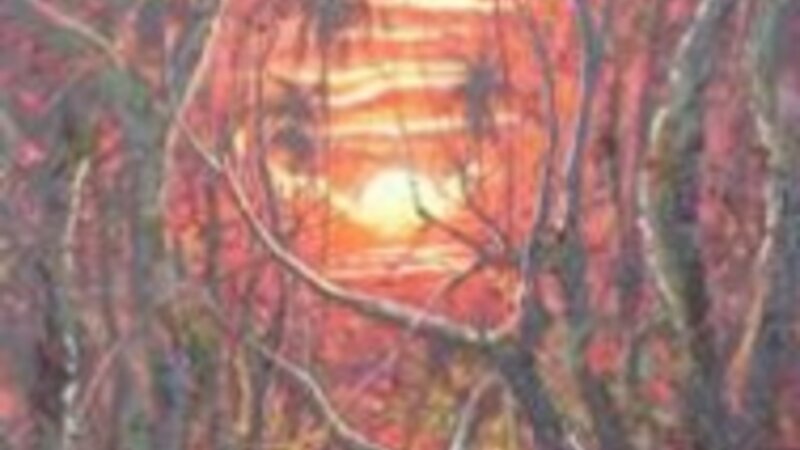 9th Annual Exhibit Amazon Sunset