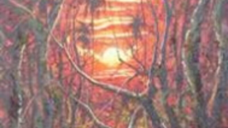 9th Annual Exhibit Amazon Sunset