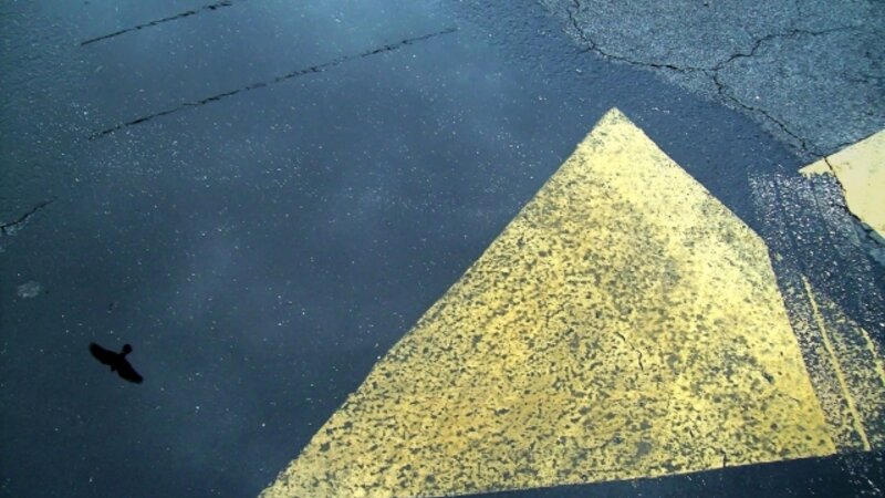 5th Annual Exhibit Earth's Weathered Mirror