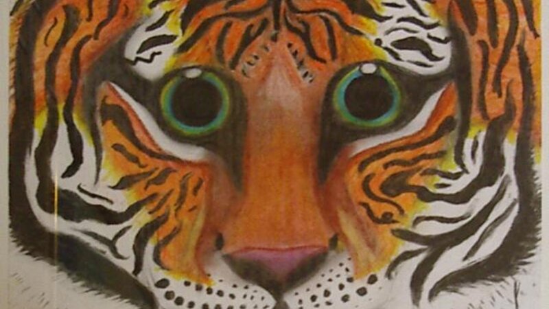4th Annual Exhibit Eyes of the Tiger