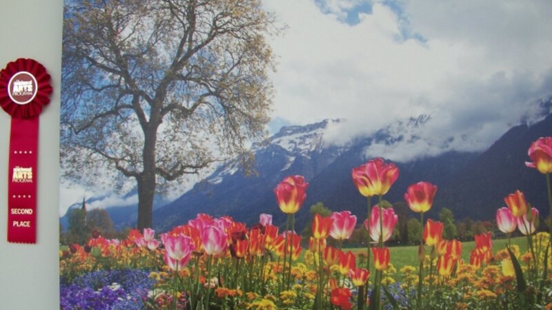 7th Annual Exhibit Tulips in the Swiss Alps