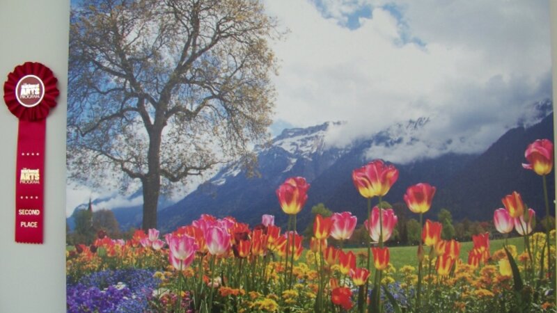 7th Annual Exhibit Tulips in the Swiss Alps