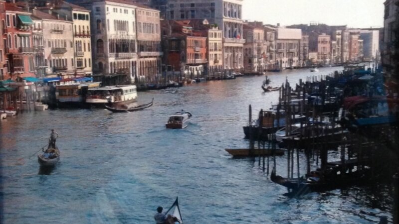 9th Annual Exhibit Portrait of Venice