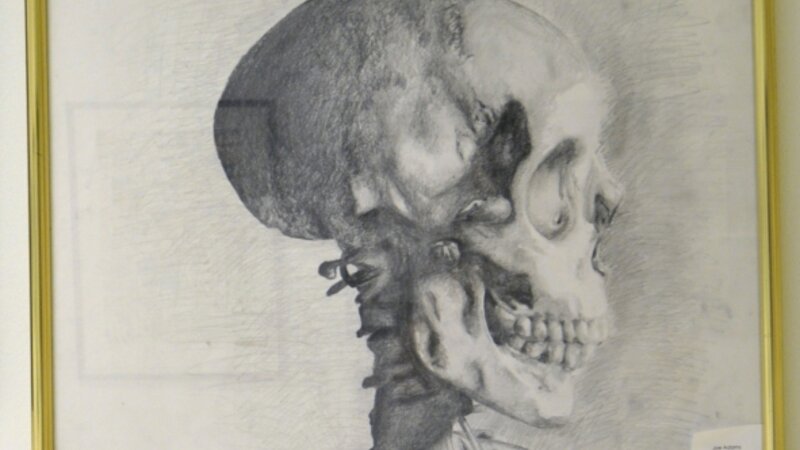 6th Annual Exhibit Skull