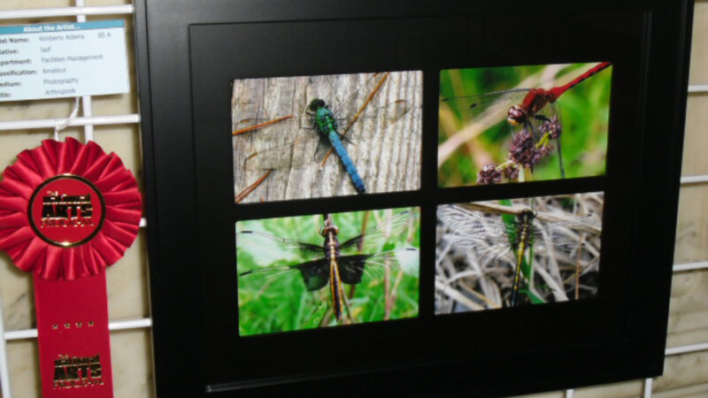 5th Annual Exhibit Arthropods