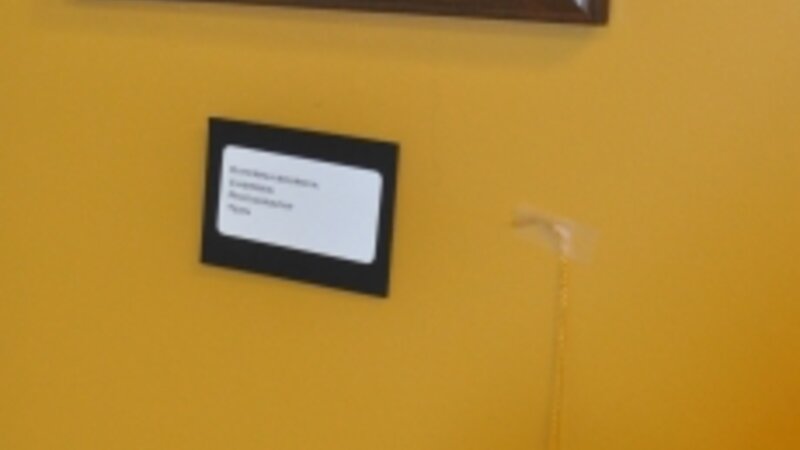 6th Annual Exhibit Cherries