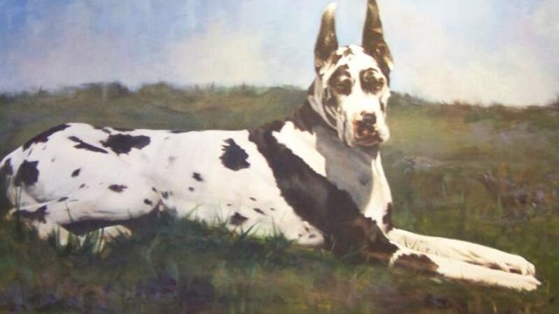 2nd Annual Exhibit Sequoia