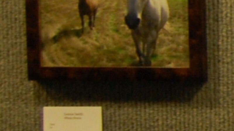 6th Annual Exhibit Whata Breeze
