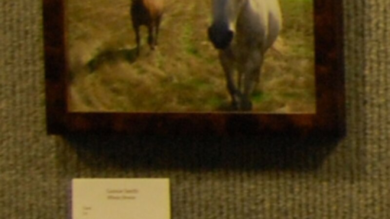 6th Annual Exhibit Whata Breeze