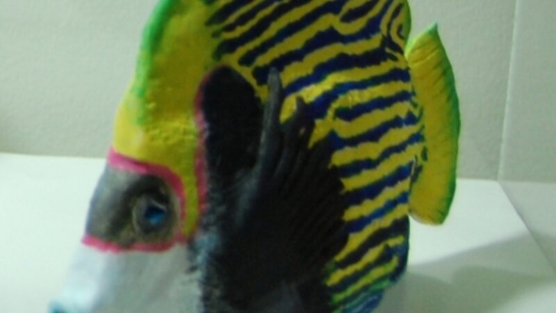 6th Annual Exhibit Tropical Fish