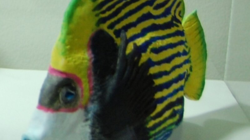 6th Annual Exhibit Tropical Fish