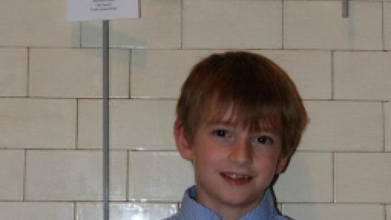 12th Annual Exhibit Study in Blue and Green