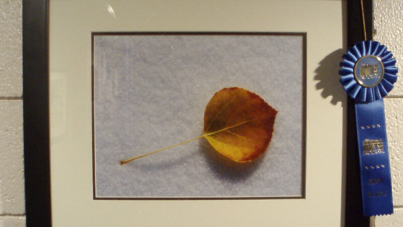 5th Annual Exhibit Lone Tree