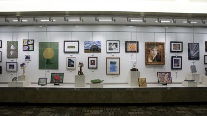 3rd Annual Exhibit One of the new display cases housing some of the 2D and 3D works from the 3rd Annual NAP Show