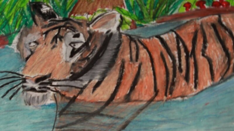 12th Annual Exhibit Tiger Wading in Water