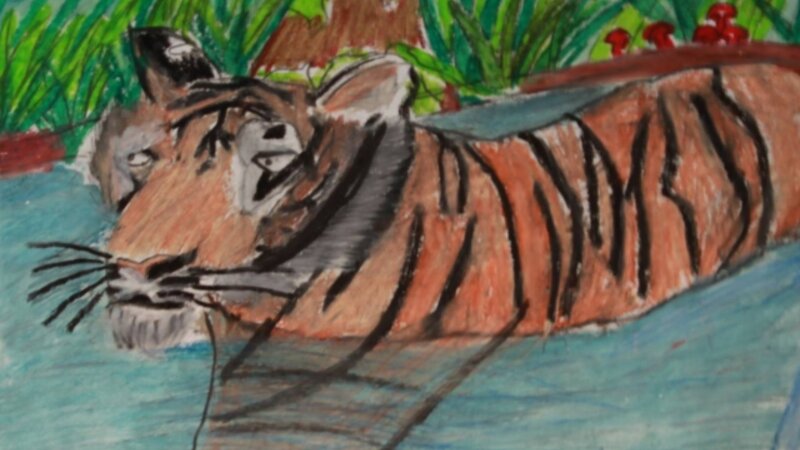 12th Annual Exhibit Tiger Wading in Water