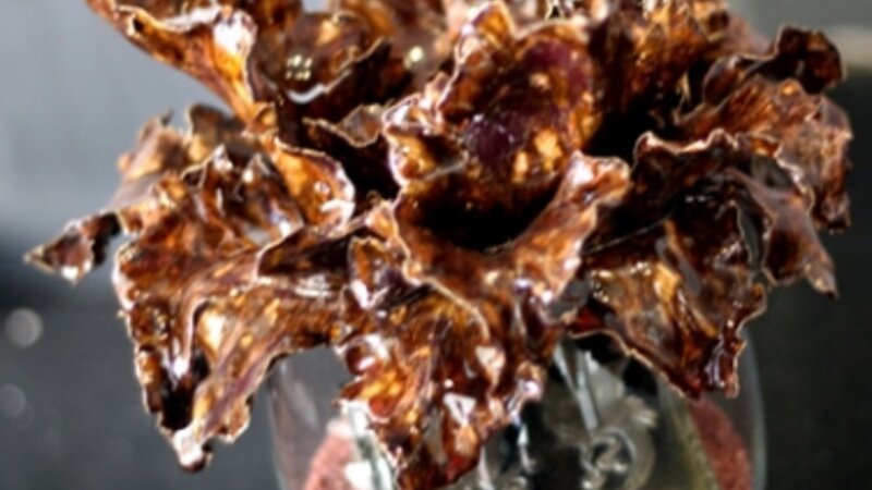 24th Annual Exhibit Phoenix Rising