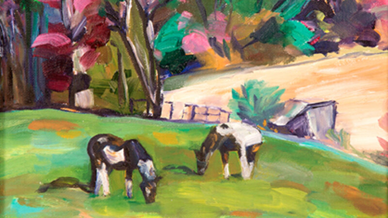 2nd Annual Exhibit Color Ponies