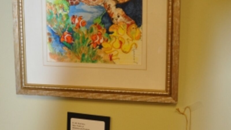 6th Annual Exhibit Sea Turtle